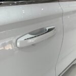 جيلي-مونجارو-المربع-نت-21