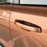 رينو-نيو-كوليوس-المربع-نت-25