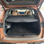 رينو-نيو-كوليوس-المربع-نت-29