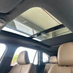 رينو-نيو-كوليوس-المربع-نت-9