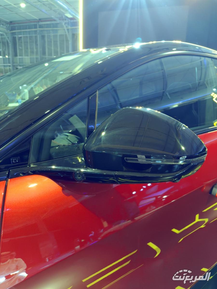 لوتس-ليتر-المربع-نت-14