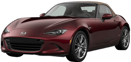 35th Anniversary Edition