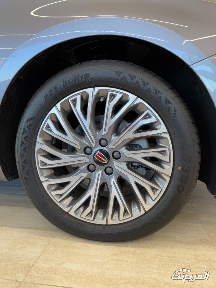 هونشي-اوسادو-المربع-نت-33