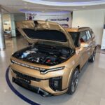 سانج-يونج-اكتيون-المربع-نت-30-2