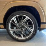 سانج-يونج-اكتيون-المربع-نت-36-2