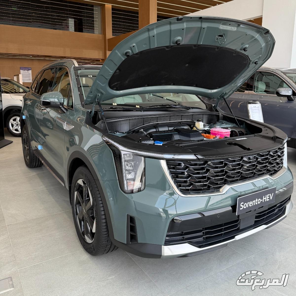 كيا-سورينتو-المربع-نت-1-6