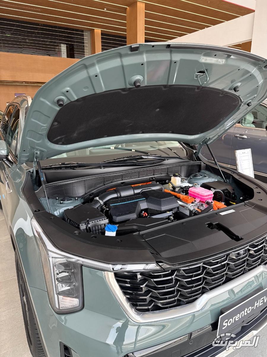 كيا-سورينتو-المربع-نت-3-6