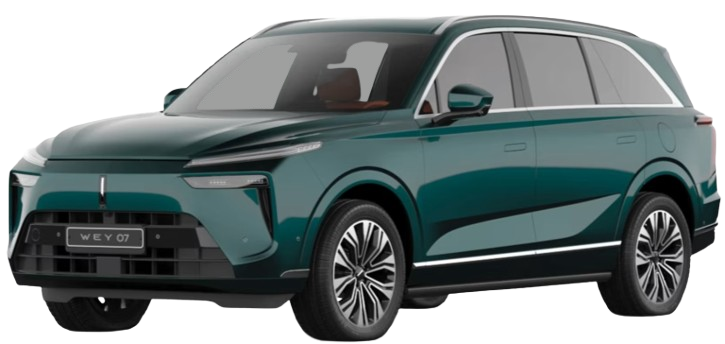 واي WEY 07
