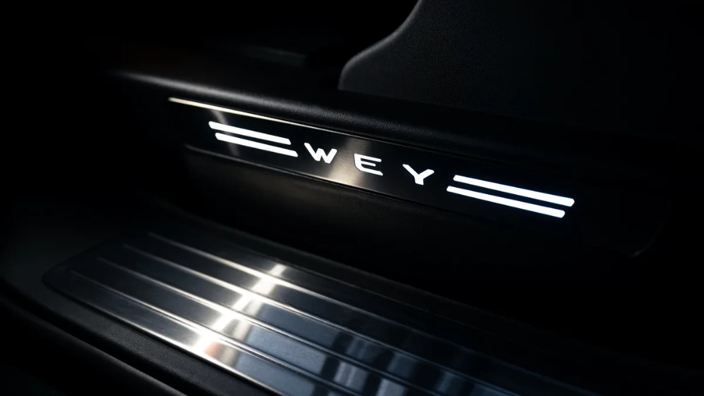 واي-80-المربع-نت-41