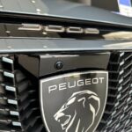 بيجو-3008-المربع-نت-16-4