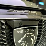 بيجو-5008-المربع-نت-6-3