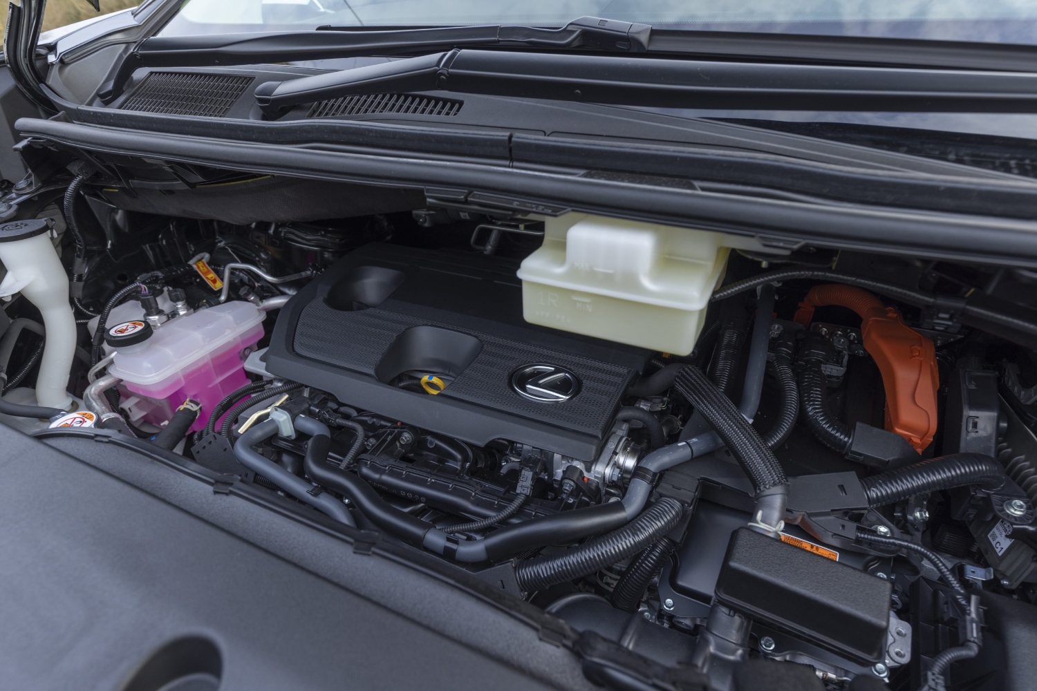 لكزس-lm-المربع-نت-65