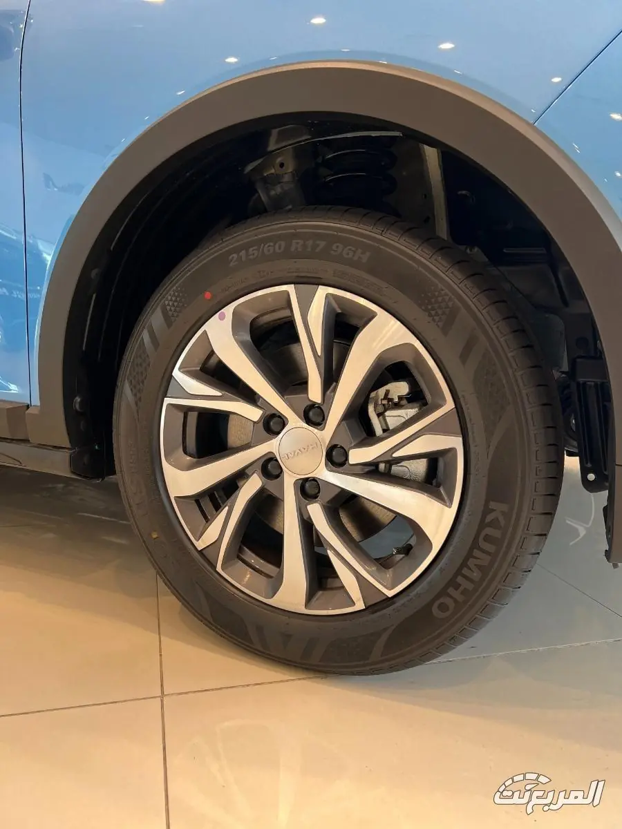 هافال جوليان 2025 10