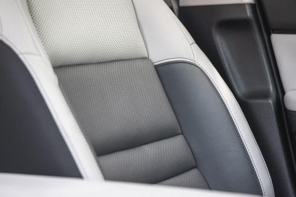 هوندا-برولوج-المربع-نت-22