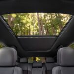 هوندا-برولوج-المربع-نت-91