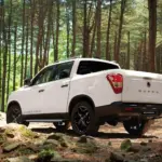 kgm-موسو-المربع-نت-9