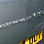 سانج-يونج-توريس-evx-17