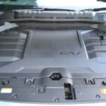 سانج-يونج-توريس-evx-20