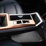 سانج-يونج-توريس-evx-36