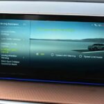 سانج-يونج-توريس-evx-39