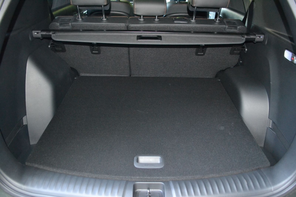 سانج-يونج-توريس-evx-50