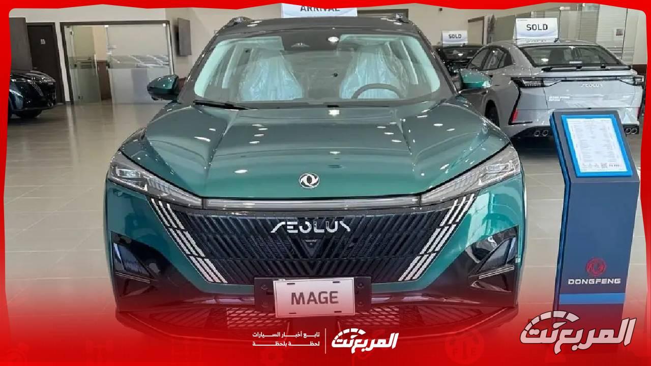  دونج فينج ميج 2025 