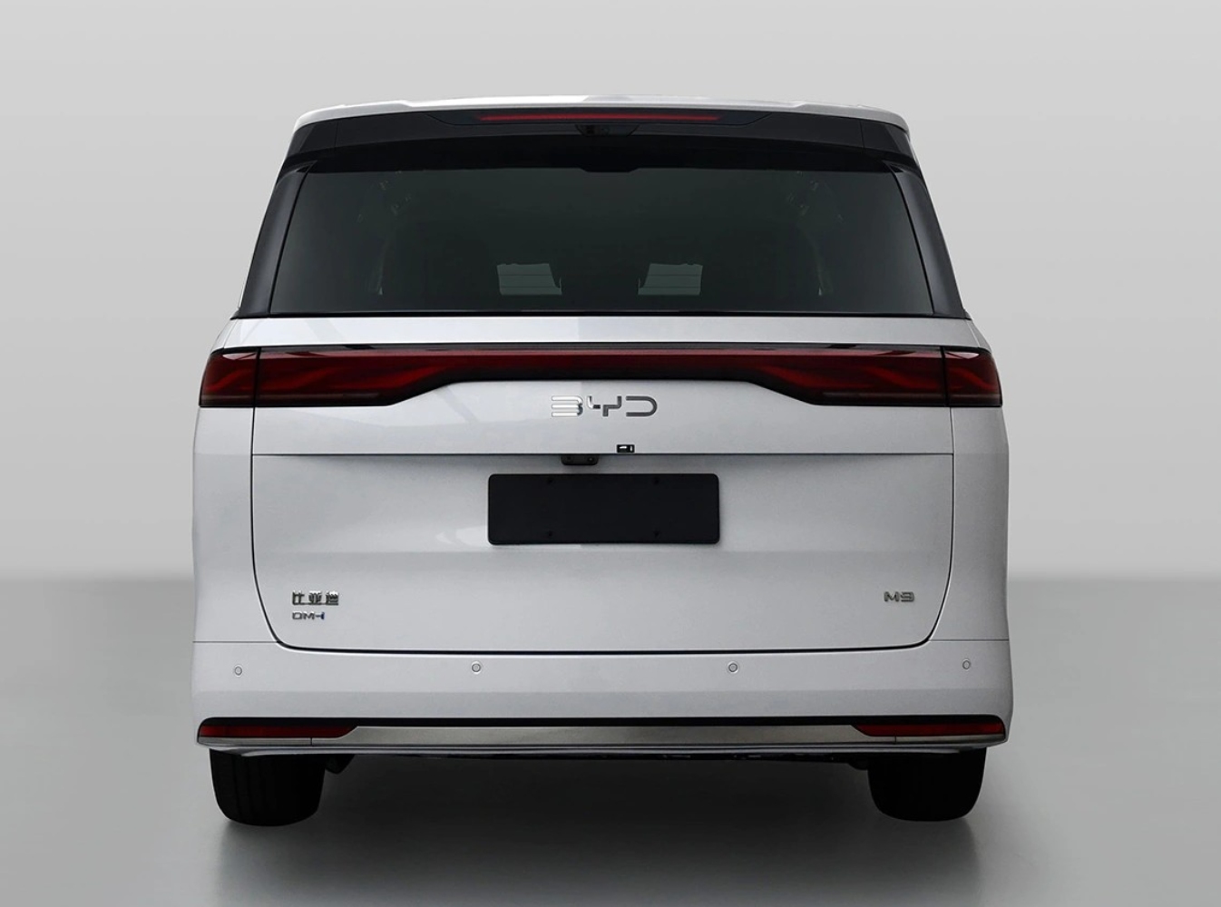 بي-واي-دي-تشيا-المربع-نت-2