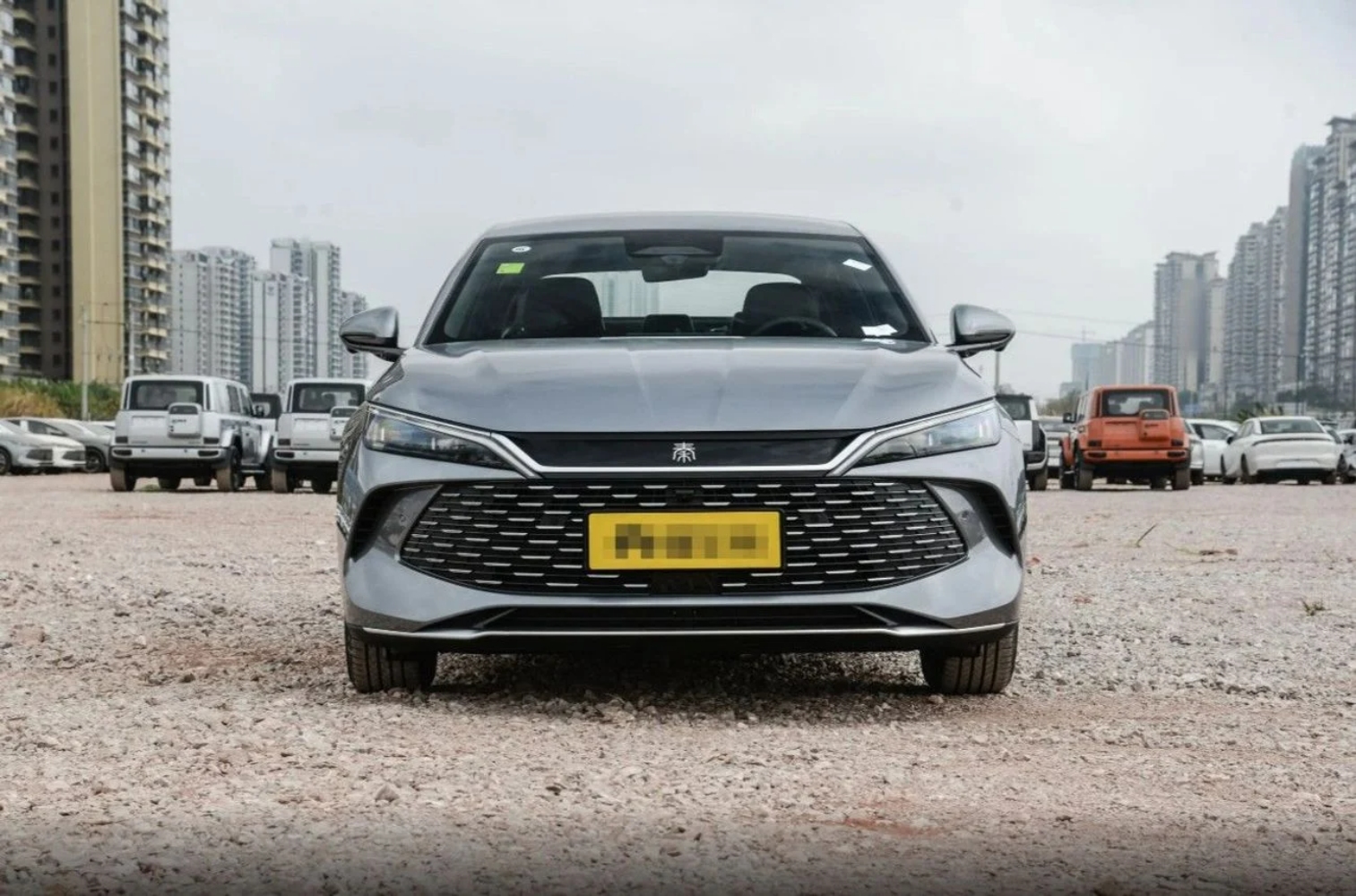 بي-واي-دي-تشين-ال-المربع-نت-19