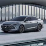 بي-واي-دي-تشين-ال-المربع-نت-25