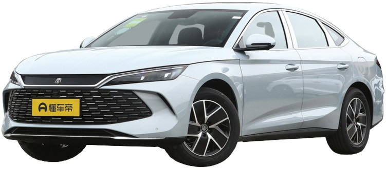 بي واي دي تشين ال Leading Type Long Range