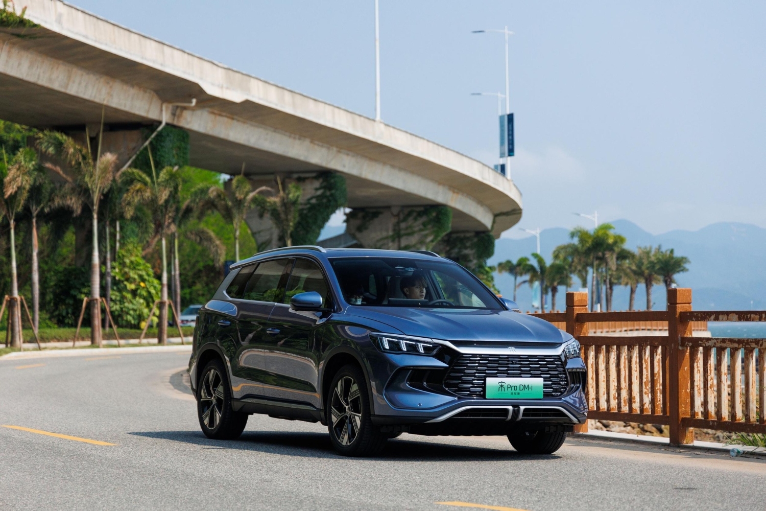 بي-واي-دي-سونج-برو-المربع-نت-29