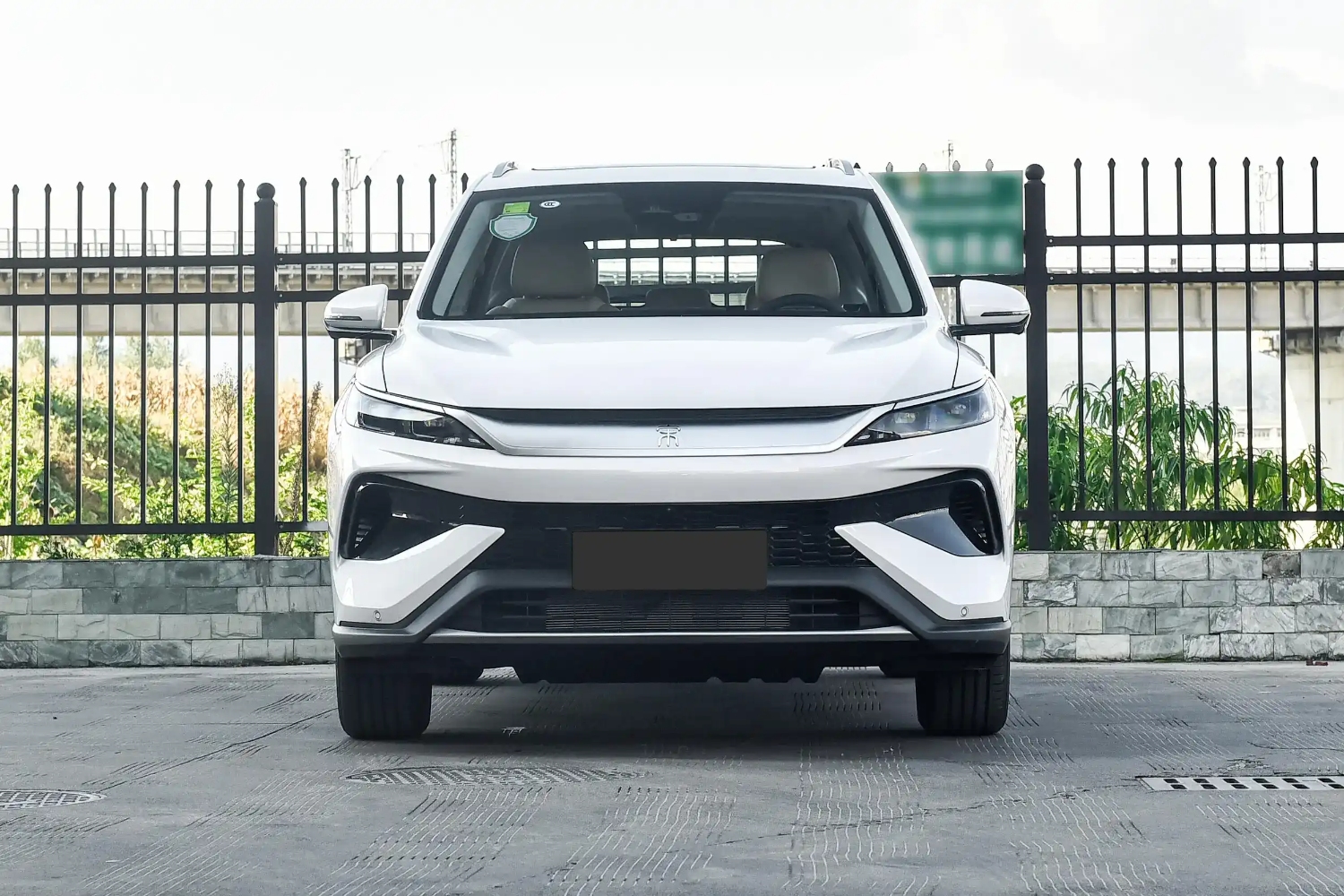 بي-واي-دي-سونج-برو-المربع-نت-3