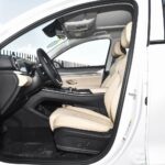 بي-واي-دي-سونج-برو-المربع-نت-9