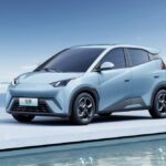 بي-واي-دي-سيجال-المربع-نت-1