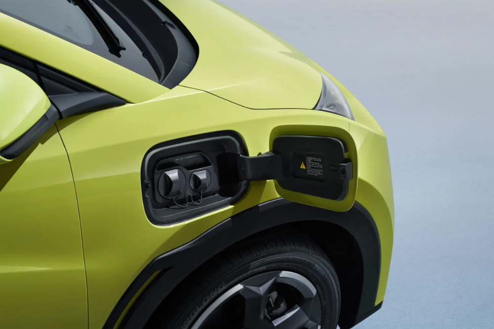 بي-واي-دي-سيجال-المربع-نت-11