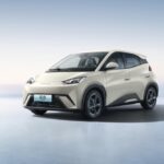 بي-واي-دي-سيجال-المربع-نت-15