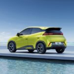 بي-واي-دي-سيجال-المربع-نت-6