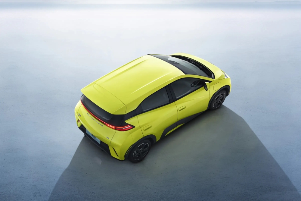 بي-واي-دي-سيجال-المربع-نت-9