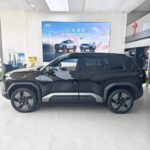 بي-واي-دي-ليوبارد-3-المربع-نت-22