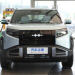 بي-واي-دي-ليوبارد-3-المربع-نت-30