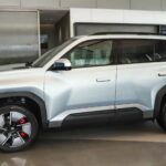 بي-واي-دي-ليوبارد-3-المربع-نت-31