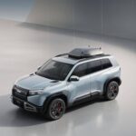 بي-واي-دي-ليوبارد-3-المربع-نت-35