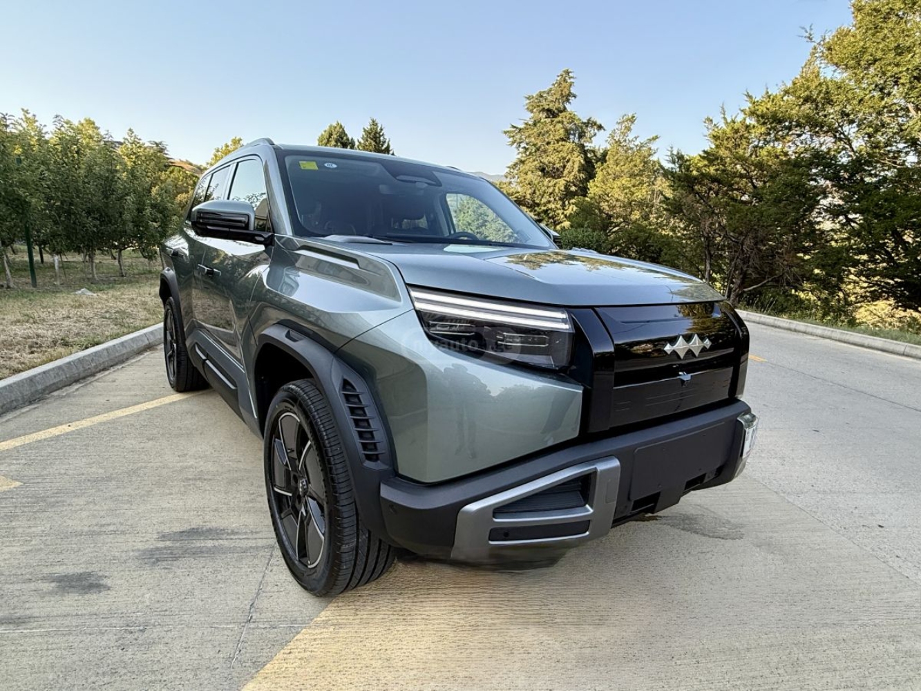 بي-واي-دي-ليوبارد-3-المربع-نت-5