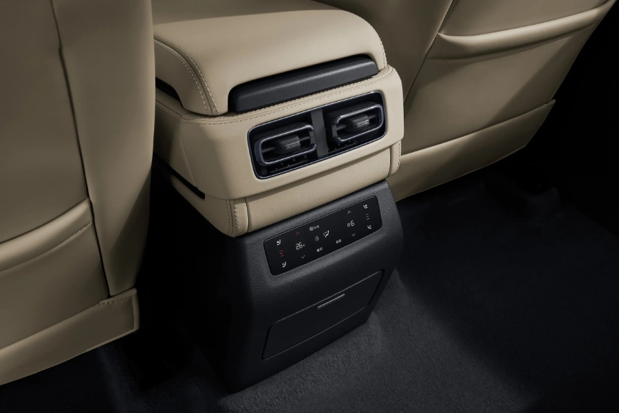 بي-واي-دي-ليوبارد-5-المربع-نت-12