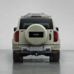 بي-واي-دي-ليوبارد-5-المربع-نت-14