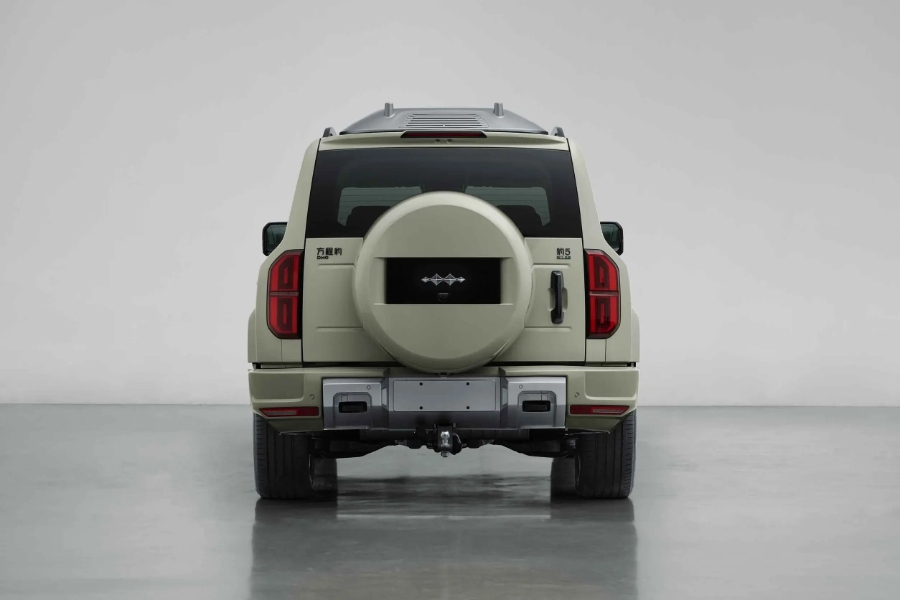 بي-واي-دي-ليوبارد-5-المربع-نت-14