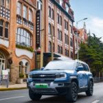 بي-واي-دي-ليوبارد-5-المربع-نت-16