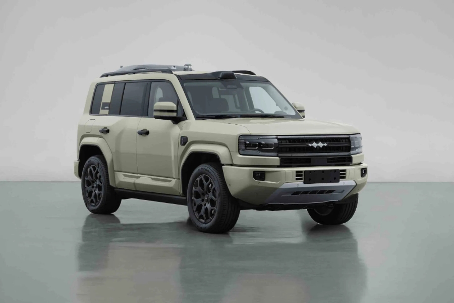 بي-واي-دي-ليوبارد-5-المربع-نت-17