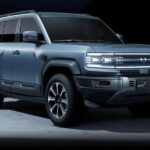 بي-واي-دي-ليوبارد-5-المربع-نت-21