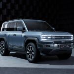 بي-واي-دي-ليوبارد-5-المربع-نت-22